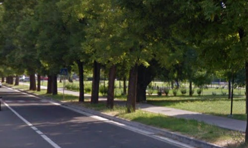 Tortona, l’escamotage per stare fuori (e assembrarsi) all’area cani in via Emilia nord