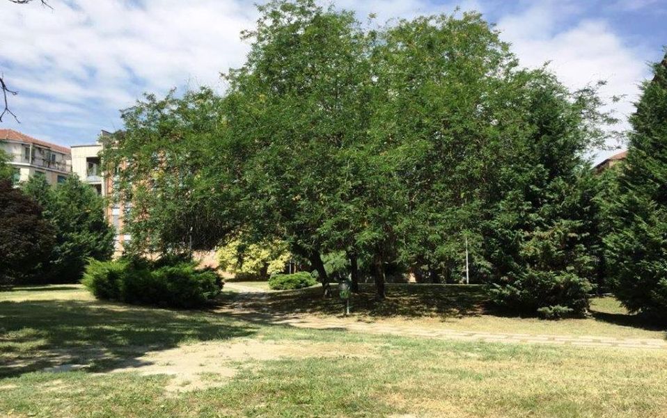 Al via la manutenzione primaverile delle aree verdi del territorio comunale di Alessandria