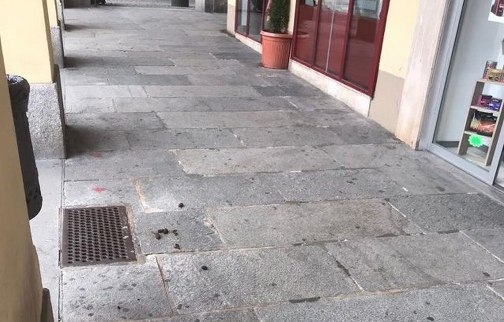 Tortona, non c’è nessuno e qualche proprietario dei cani non raccoglie le deiezioni