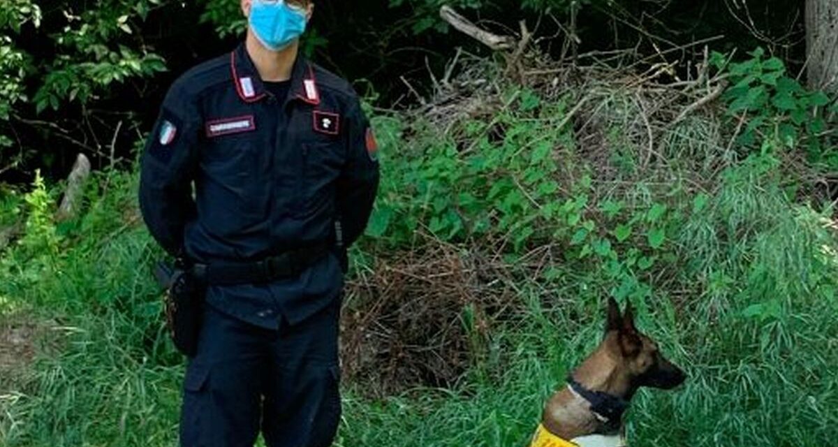 Nel parco del Borbera un boccone avvelenato uccide un cane, interviene il Sindaco e la Forestale