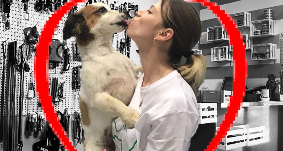 Regione Piemonte: da lunedì le toelettature per gli animali potranno riaprire