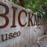 Archivi segreti ed erbari storici: il Museo Bicknell di Bordighera svela le sue “Meraviglie”