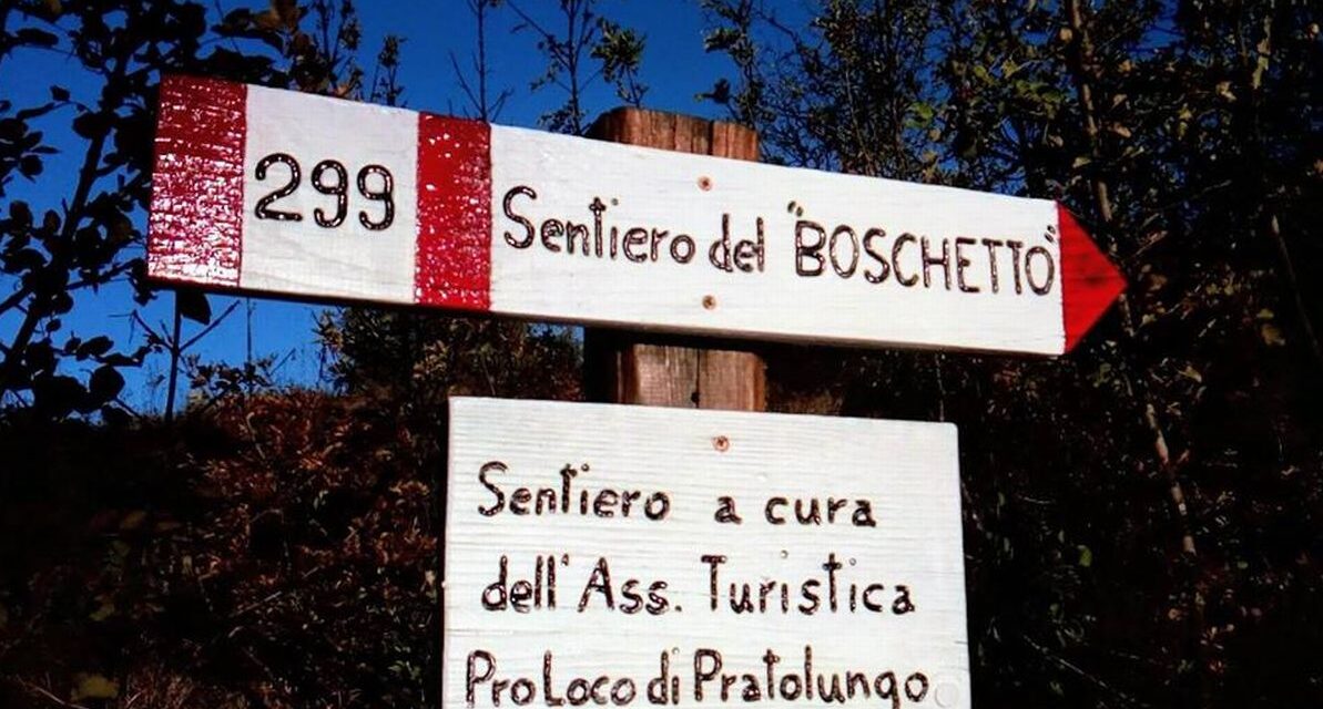Dove passeggiare? Il Distretto novese suggerisce il Sentiero del Boschetto di Pratolungo di Gavi