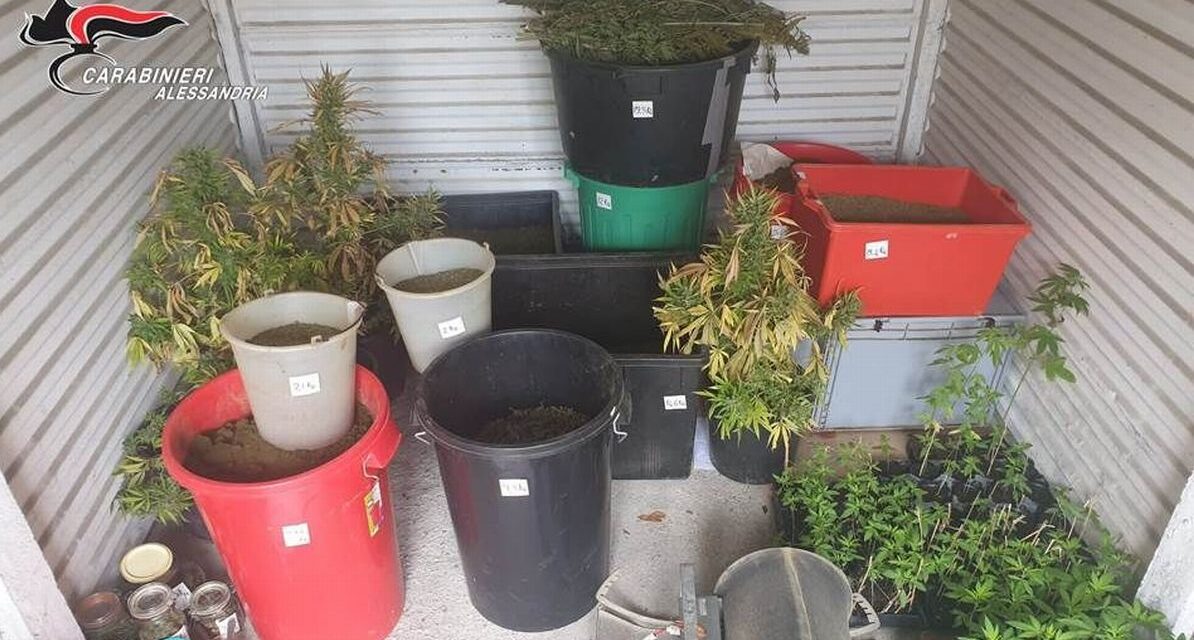 Duro colpo inferto allo spaccio di droga nell’alessansdrino: scoperto dai Carabinieri un laboratorio della droga