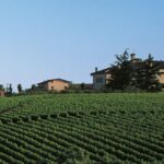 Gli agriturismi di Alessandria e Asti fanno rete sotto il cappello Agriturist