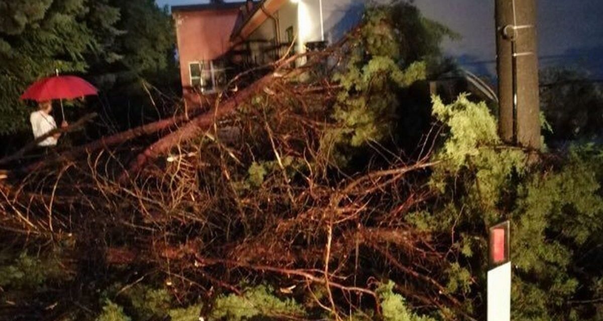 Tortona martoriata da temporale e grandine. Alberi caduti, cantine allagate e danni. Le immagini
