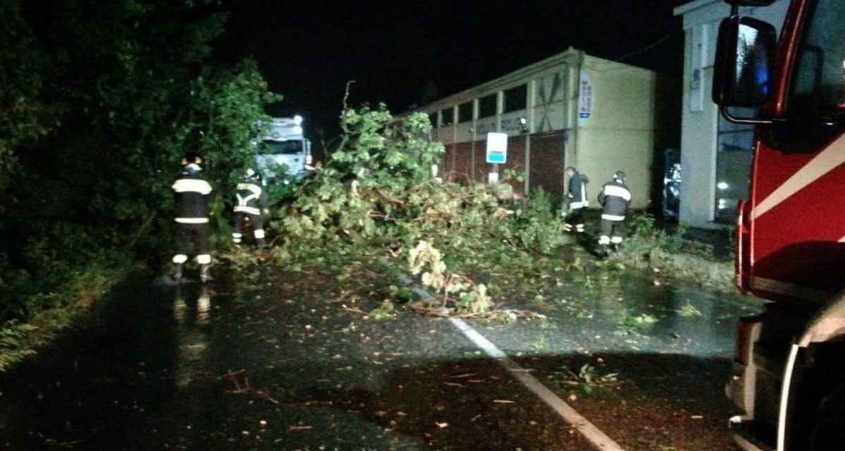 A Tortona la nuova ondata di maltempo distrugge un albero secolare e blocca il traffico per tre ore