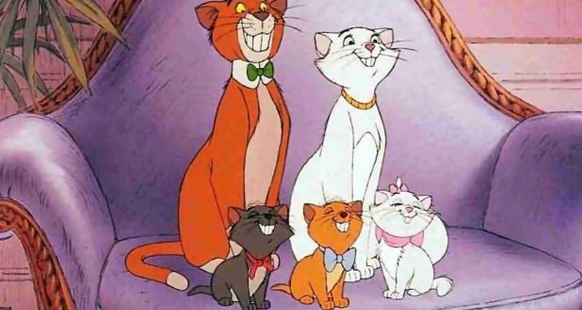 Al via la rassegna estiva a Pozzolo Formigaro con tanti appuntamenti: si inizia con gli aristogatti