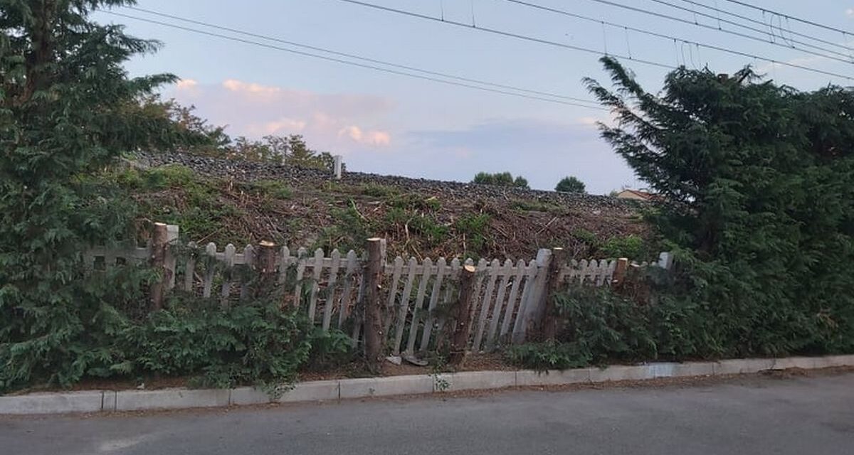 Orribile scempio di piante tagliate a Tortona, la segnalazione di un lettore