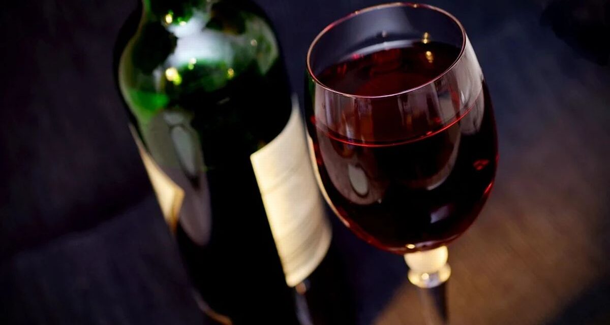 Buongiorno Dolcetto 2025: emozioni, musica e paesaggio all’alba tra i vigneti del Monferrato