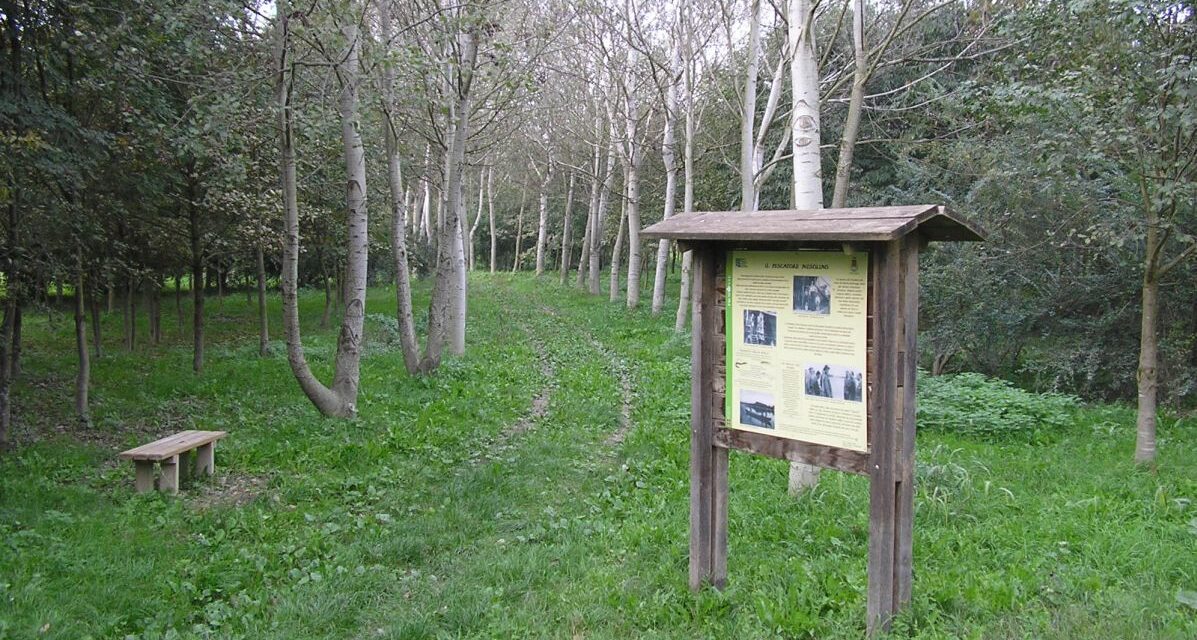 Valenza entra nel programma di Foresta condivisa del Po
