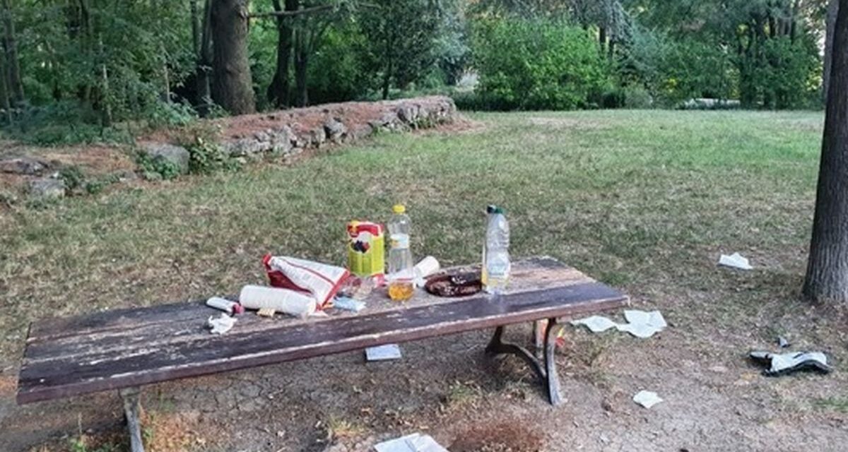 Cittadino tortonese virtuoso: ha trovato questo schifo sul Castello e l’ha ripulito, ma così non va!