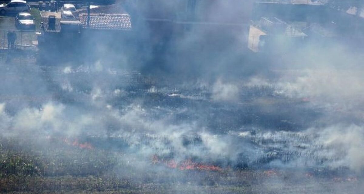 Non fa freddo ma forse qualcuno si diverte a incendiare i campi a Carbonara Scrivia. Le immagini