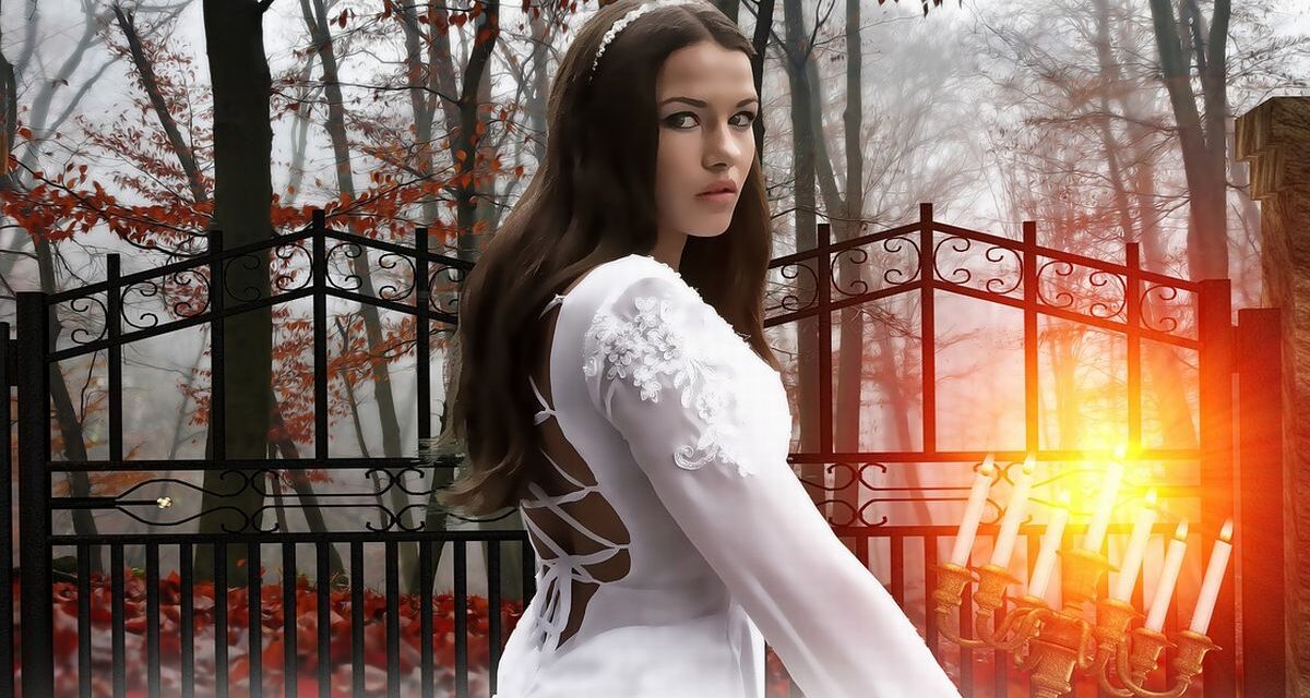 Da Sale a Viguzzolo per andare a sbattere contro il cancello della ex: multato e denunciato