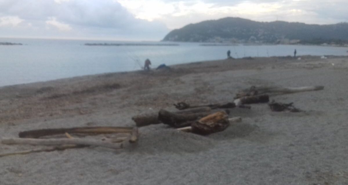 A San Bartolomeo si può raccogliere la legna sulla spiaggia