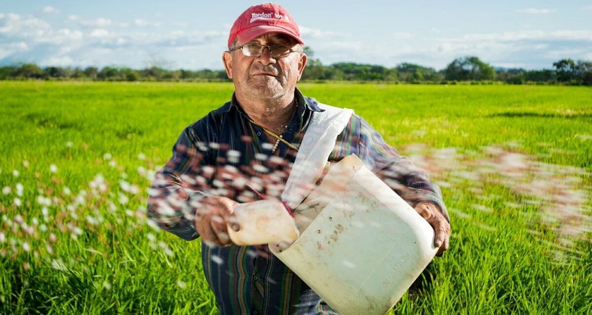 Fai l’agricotore per hobby? In Liguria sei libero di spostarti