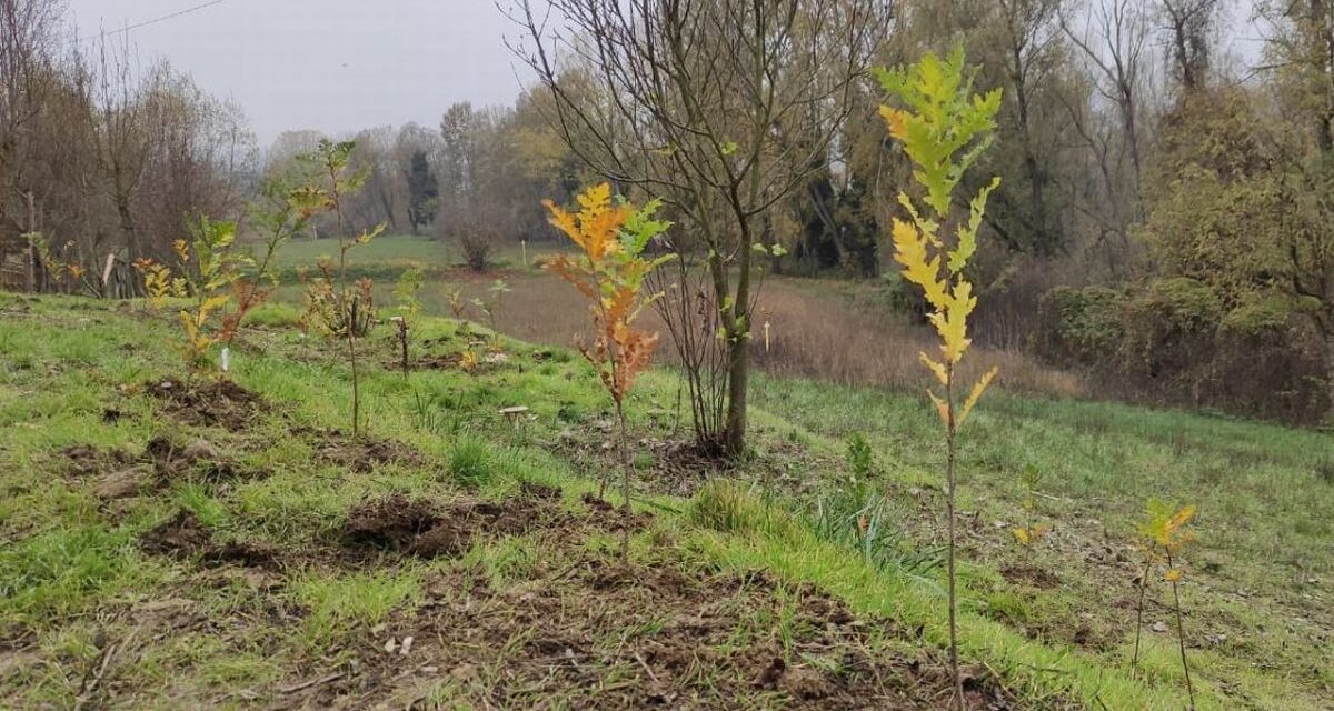 Ad Acqui Terme una Giornata sulla Tutela dell’Ambiente