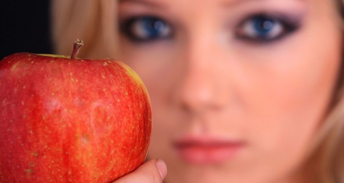 Il sistema di qualità biologico piemontese: sul sito della Regione una vetrina web per le aziende e i consumatori