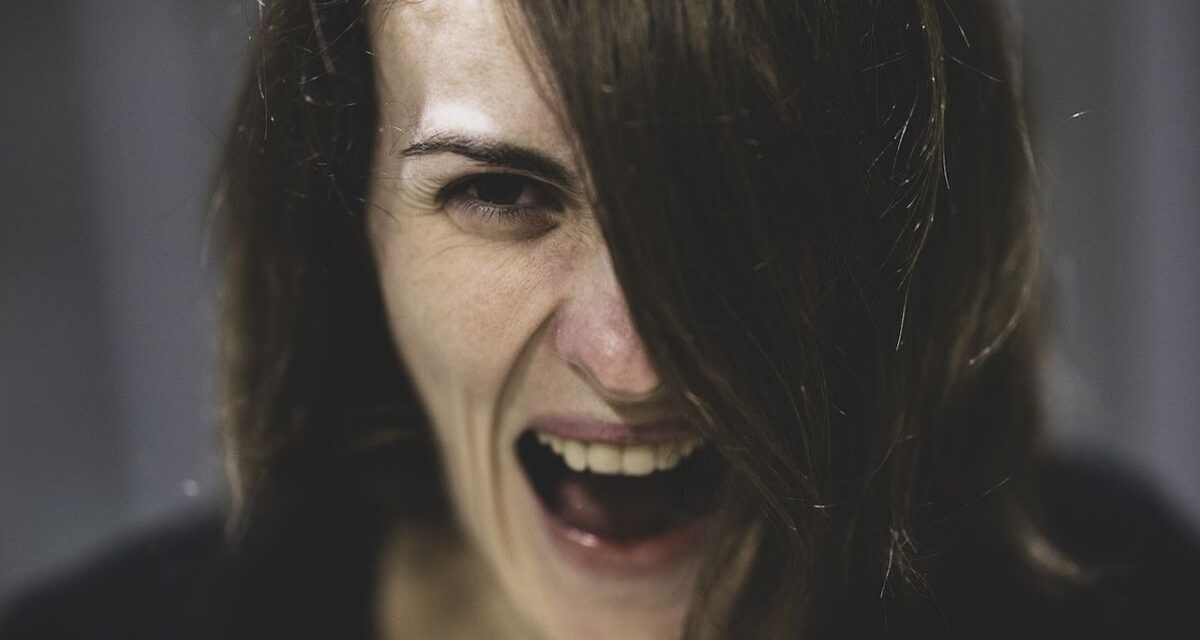 Non bastavano gli stranieri, adesso anche le donne italiane aggrediscono i bigliettai