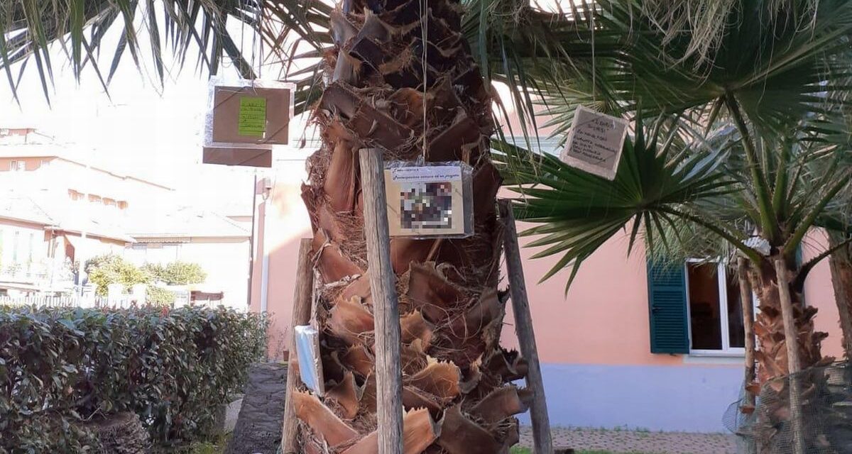 A San Bartolomeno Una mostra in giardino, con foto e pensieri per l’Infanzia