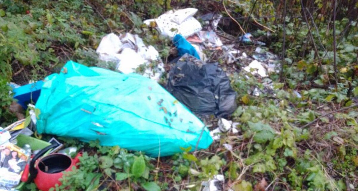 Abbandona questi rifiuti a predosa, Gestione Ambiebte lo scopre e paga 600 euro