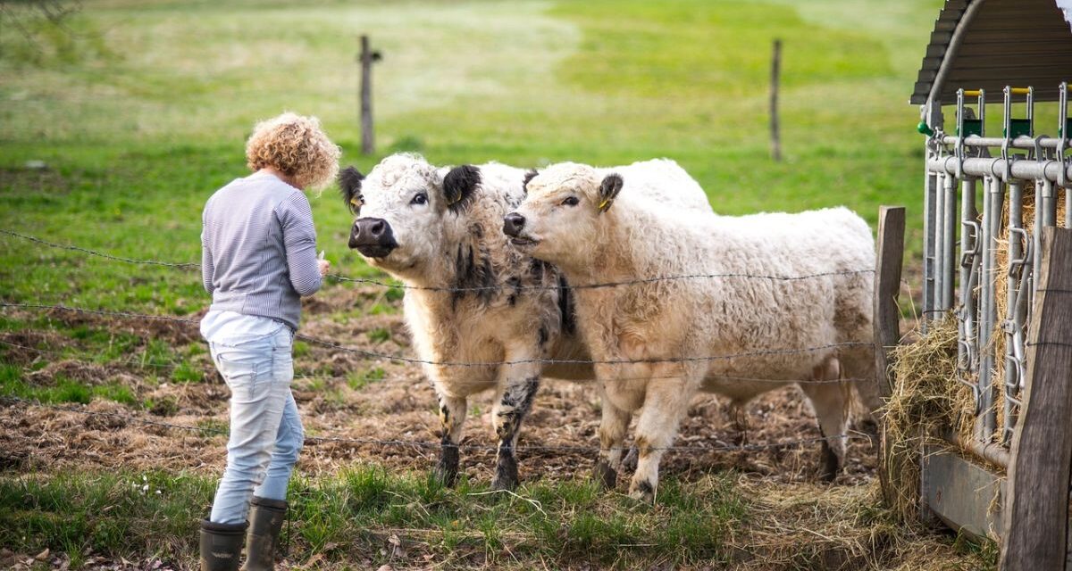 Sono oltre 2mila le imprese femminili in provincia di Alessandria nel settore agricolo