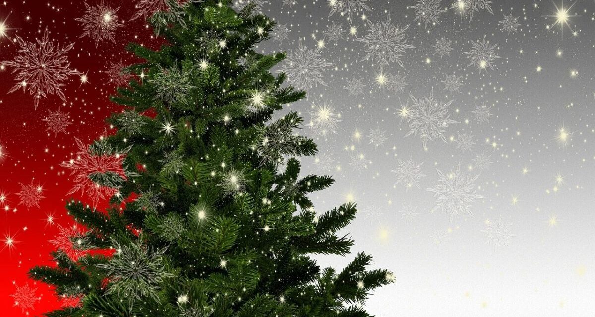 Dolce Natale ad Acqui Terme: magia, comunità e tradizione grazie alla collaborazione tra Comune, Istituti scolastici, associazioni e attività commerciali acquesi.