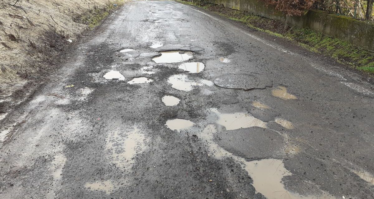 Un lettore segnala la situazione di Strada Virgo Potens a Tortona