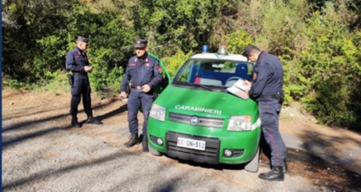 Individuato a Ovada, l’autore di una discarica abusiva dai Carabinieri Forestali