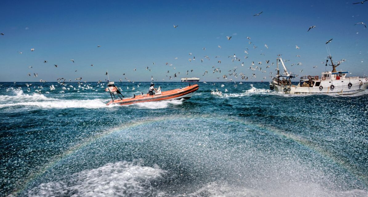 La Guardia Costiera di Imperia vara la nuova funzione “Avvistamenti”