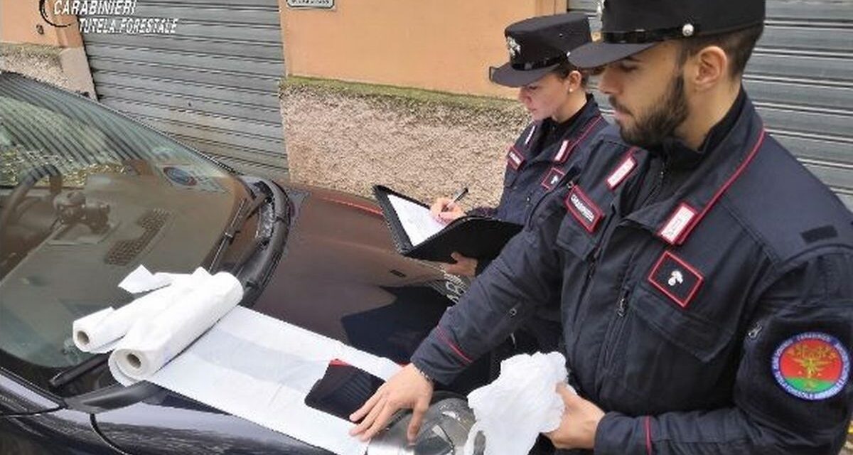 Società di Stazzano amplia i campi da golf in modo irregolare, multata di 6 mila euro