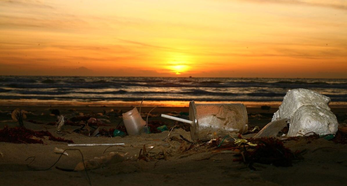 Imperia, nuovo video di sensibilizzazione ambientale: “Il nemico non è la plastica ma la maleducazione”