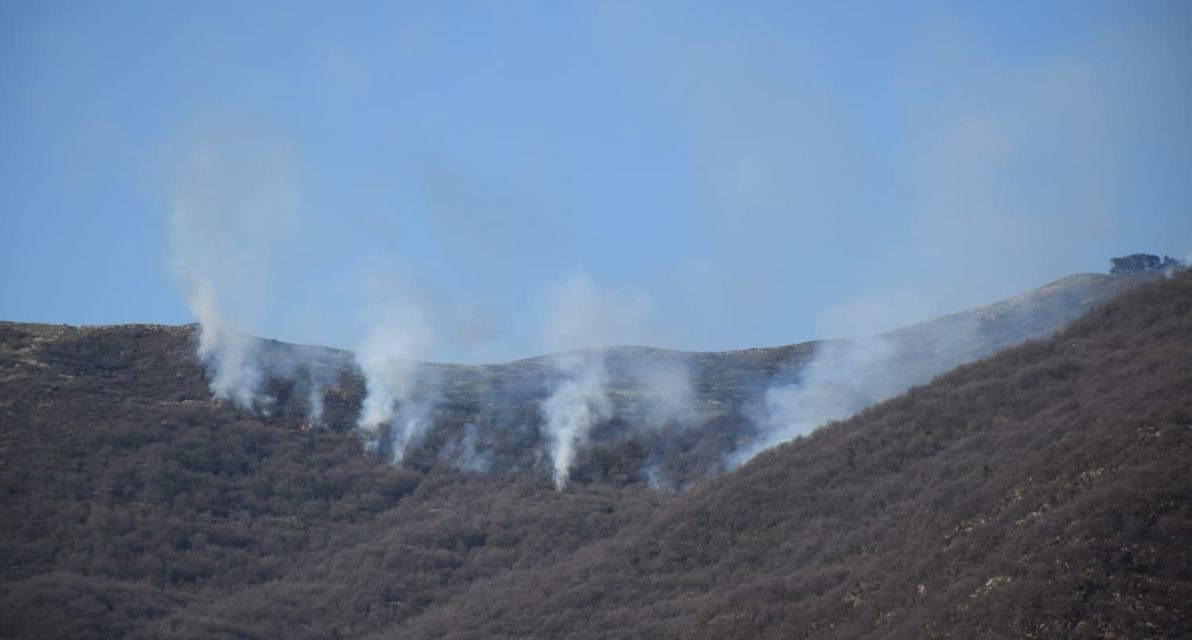 In Liguria scatta la pericolosità per gli incendi boschivi
