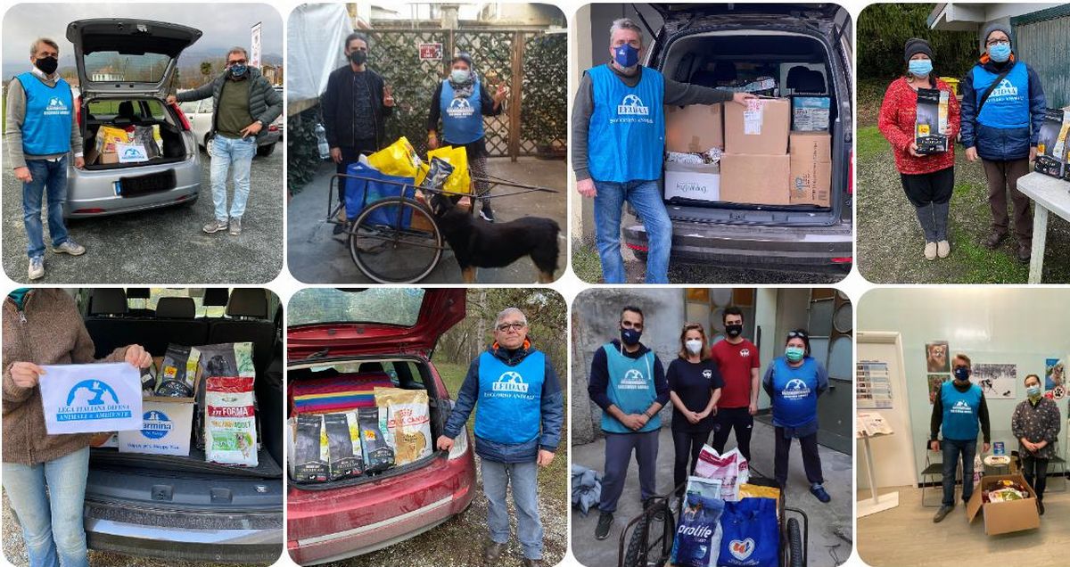 La Leidaa di Alessandria aiuta gli animali anche in tempo di Pandemia. La storia