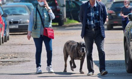 Il comportamento vergognoso di certi padroni di cani che a Tortona ne combinano di tutti i colori