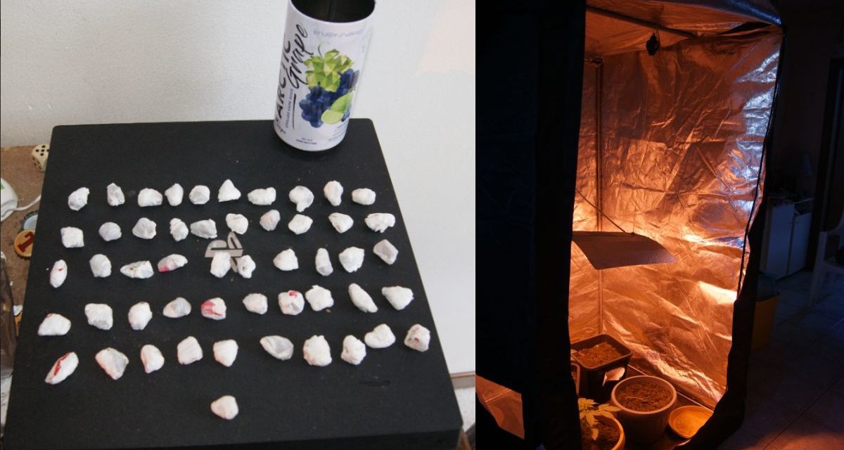 Giovane di Novi Ligure coltiva droga nella camera da letto, ma i Carabinieri lo scoprono