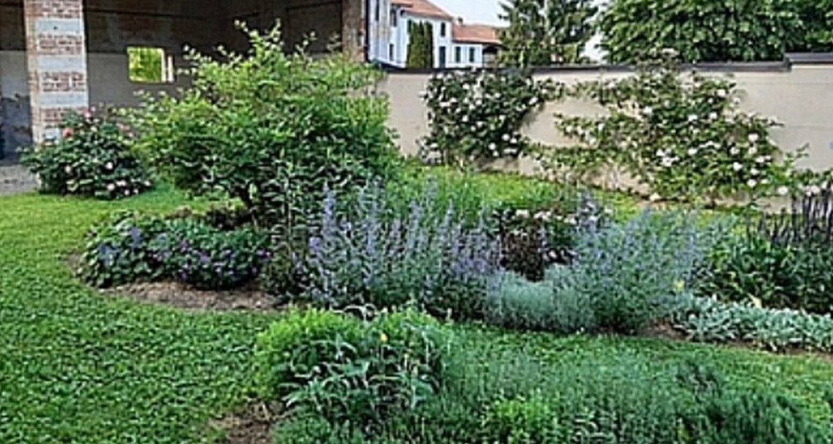 Domenica 6 giugno a Pontestura c’è “Acquarellando nel giardino dell’eremita”