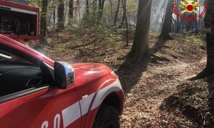 Incendio al Parco dello Scrivia, brucia un capanno e intervengono i pompieri