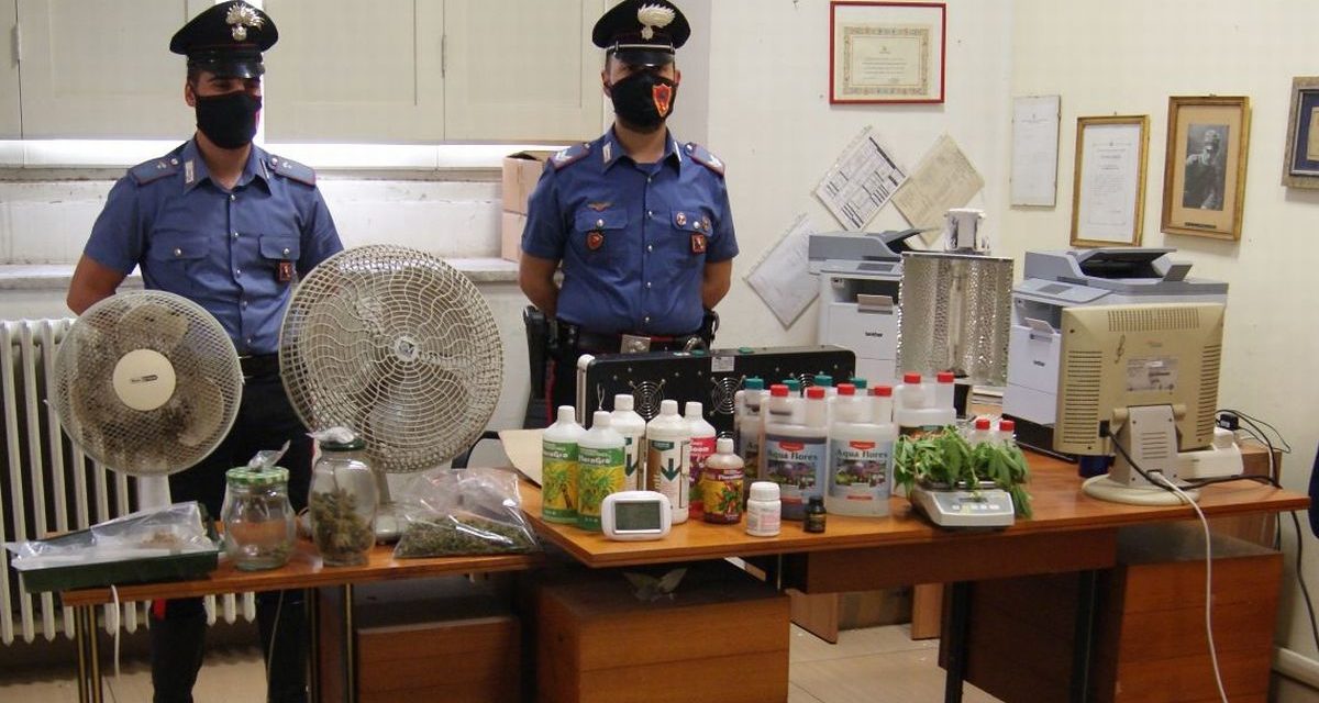 I Carabinieri di Tortona controllano i luoghi frequentati dai giovani e trovano uno spacciatore