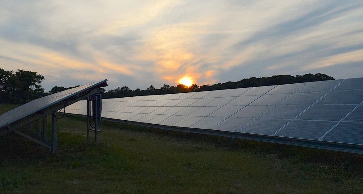 Agrisolare: opportunità di efficientamento per le aziende agricole