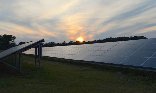 Allarme agrivoltaico nel Tortonese, via libera a due maxi impianti. Il Comitato: “Fermate l’industrializzazione dei campi”
