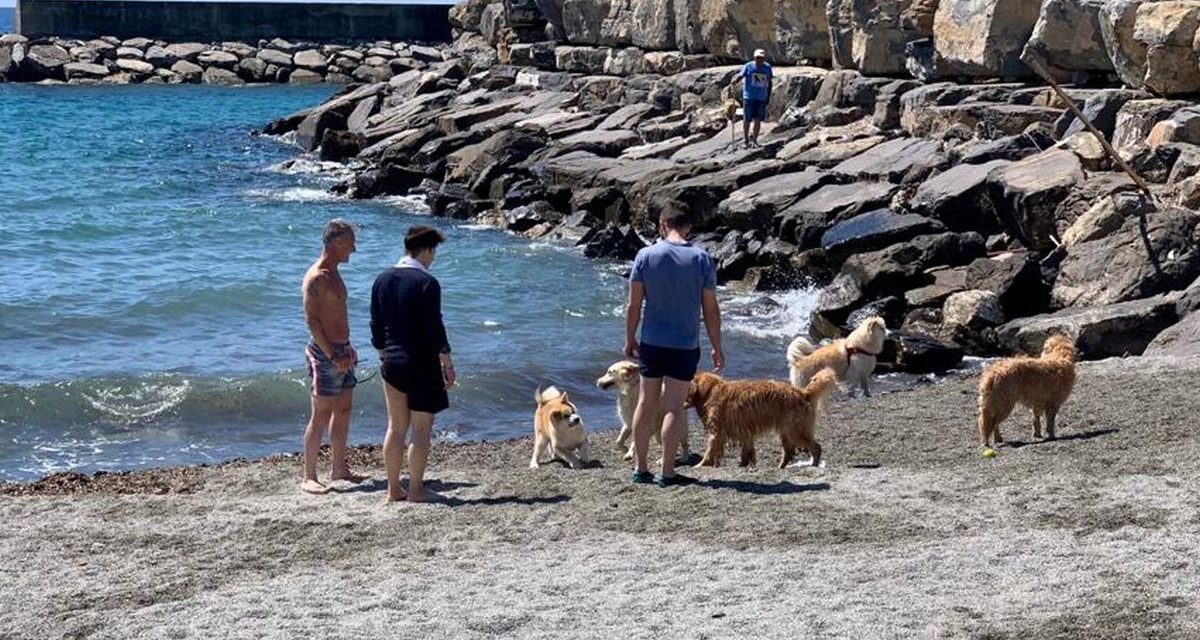 Tranciato volontariamente il tubo della spiaggia per cani a San Bartolomeo