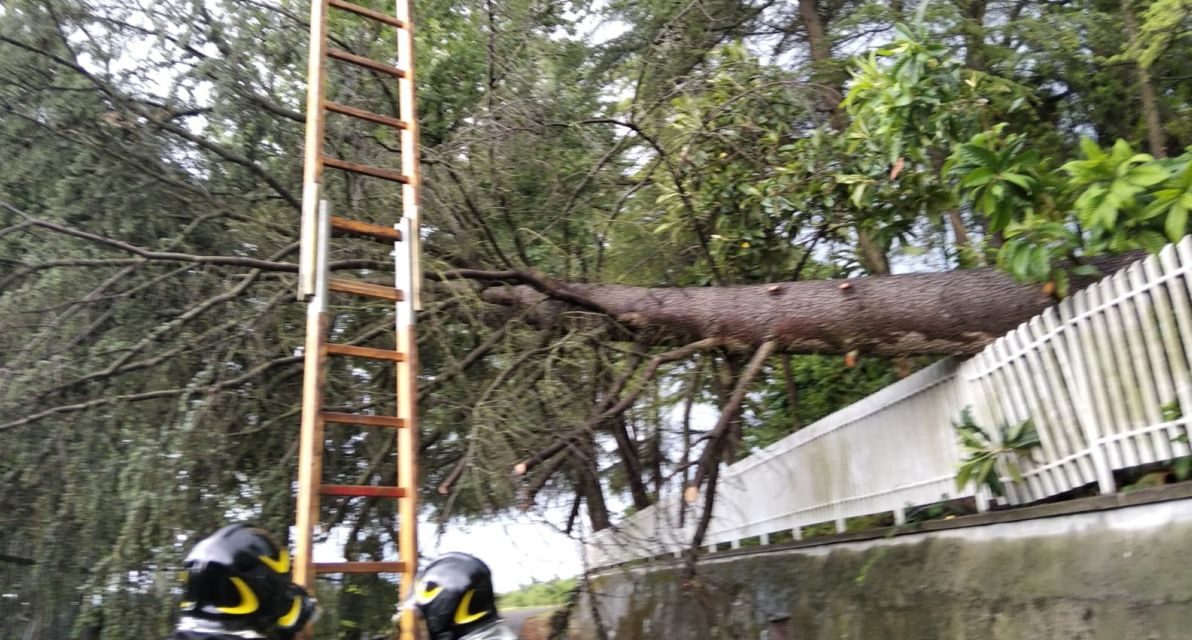 Maltempo nel casalese, diversi interventi dei Vigili del Fuoco