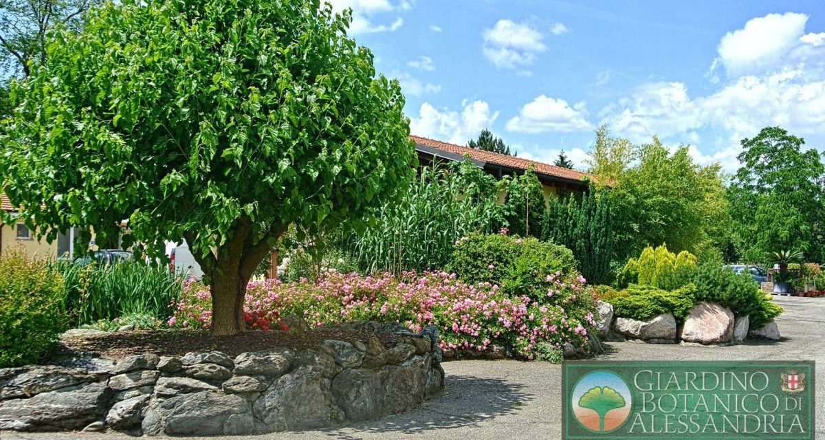 Giovedì ad Alessandria l’incontro/confronto delle esperienze dei volontari al Giardino Botanico