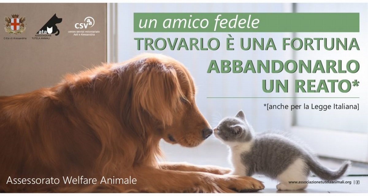 Il Comune di Alessandria fa partire una campagna contro l’abbandono degli animali
