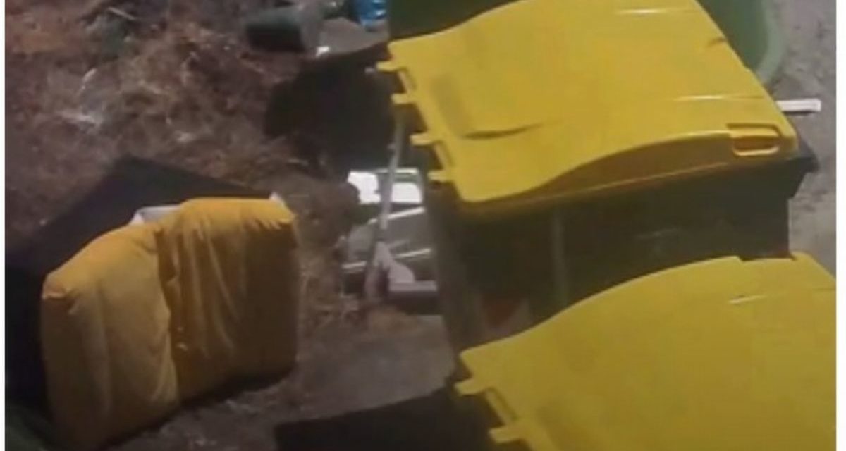 Abbandona poltrone vicino ai cassonetti a Valenza, individuato e multato