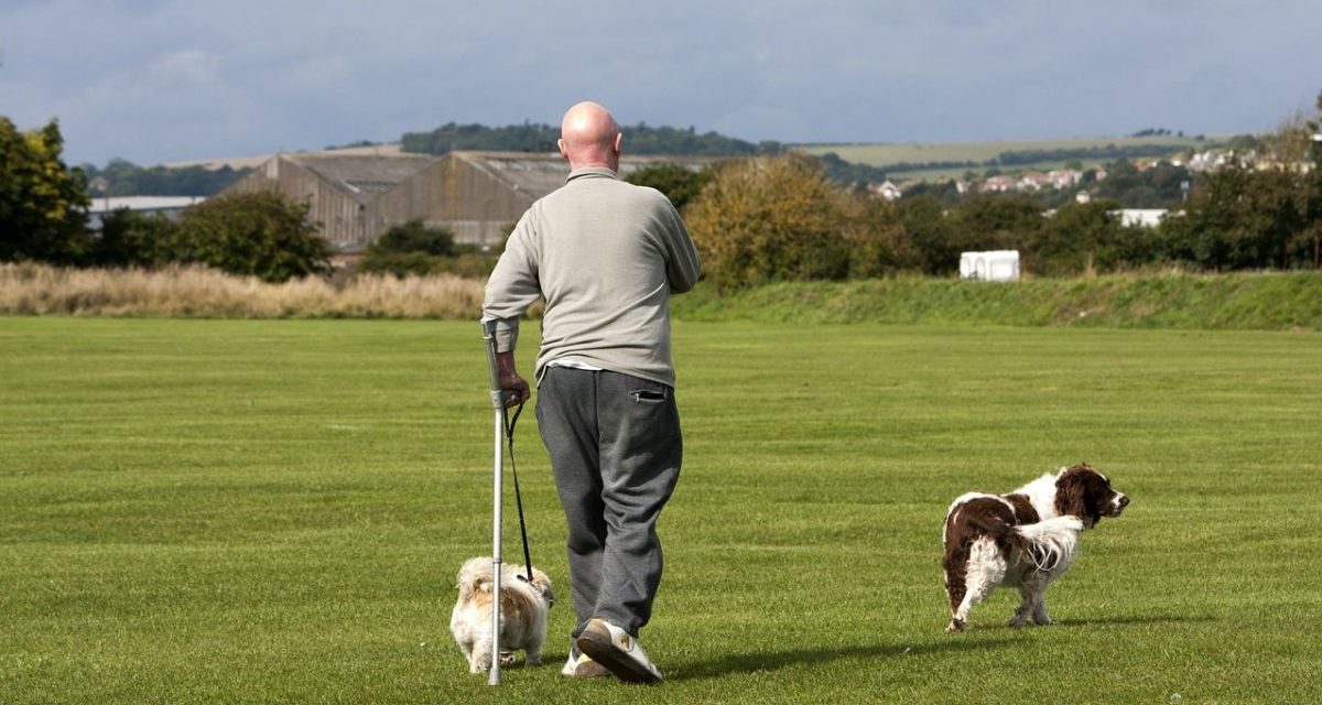 Torna a camminare dopo tre interventi: la storia a lieto fine di Carlo di Alessandria