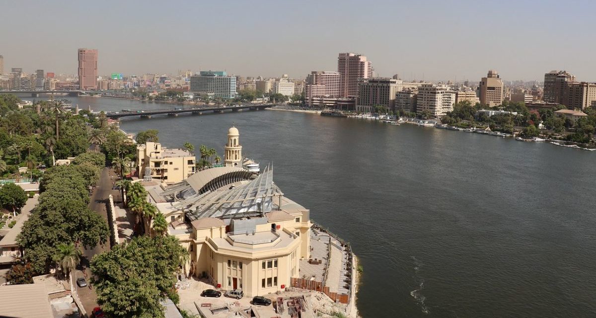 Il Comune di Alessandria é in lotta contro la zanzara del Nilo