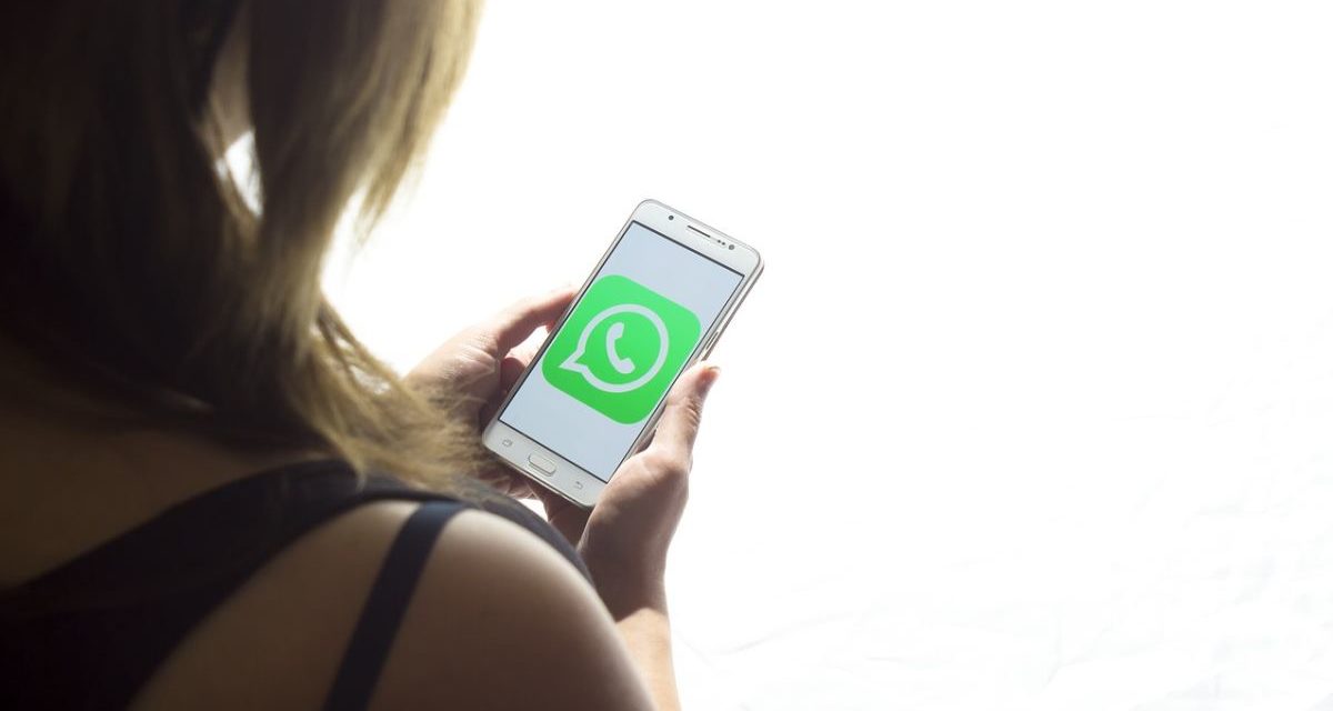 Covid 19, il Piemonte istituisce un numero dedicato via whatsapp per informazioni: il 334 6681342