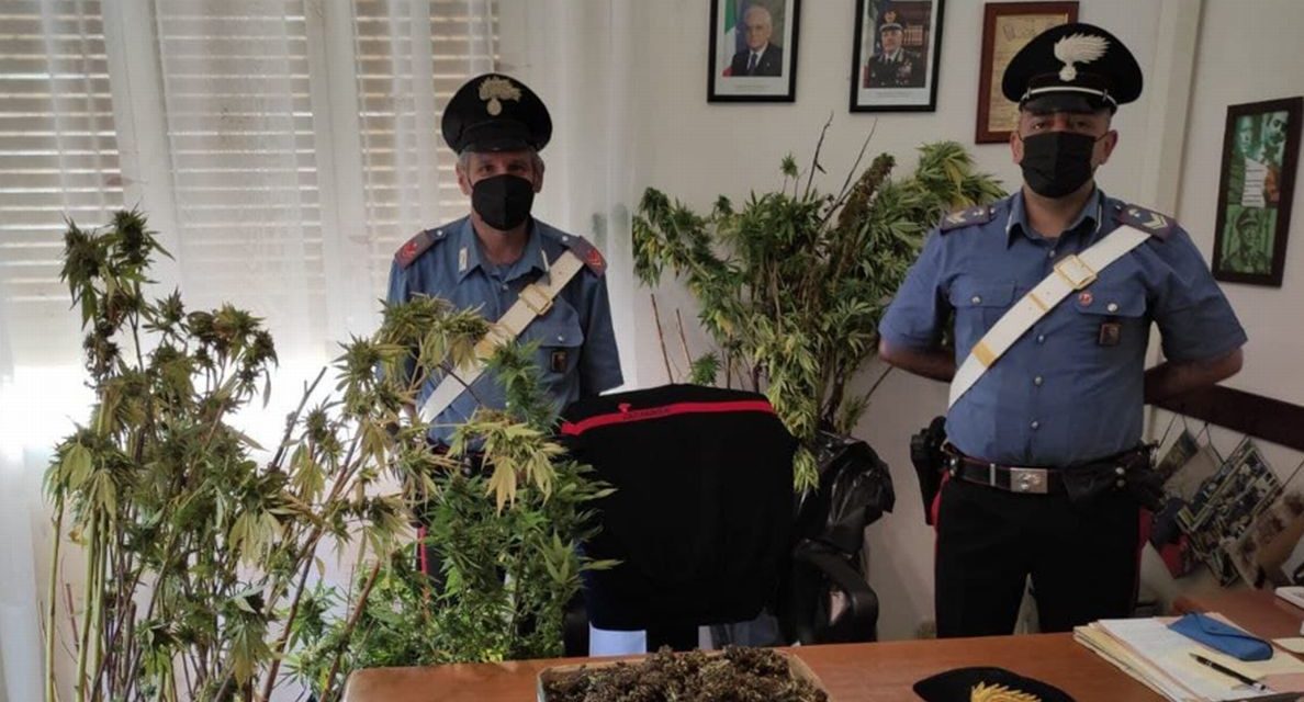 Ben 21 arresti e 91 denunce ad Aprile fatte dai carabinieri di Imperia